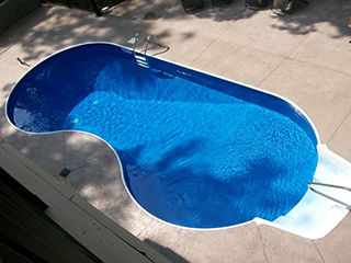 Kidney Shaped In-Ground Pool
